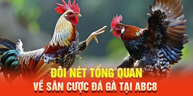 Sân chơi đảm bảo chất lượng và tính bảo mật cho người dùng